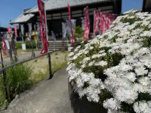 井際山 如意輪寺の{uncategorized: "未分類", other: "その他", undefined: "問題あり", building: "その他建物", grave: "お墓", sacred_gate: "鳥居", guardian: "狛犬", statue: "像", buddha: "仏像", history: "歴史", nature: "自然", garden: "庭園", animal: "動物", pagoda: "塔", temizu: "手水舎", mountain_gate: "山門・神門", sanctuary: "本殿・本堂", subordinate: "末社・摂社", art: "芸術", scenery: "景色", jizo: "地蔵", ema: "絵馬", goshuin: "御朱印", omikuji: "おみくじ", items: "授与品その他", amulet: "お守り", goshuincho: "御朱印帳", eats: "食事", festival: "お祭り", votive_dance: "神楽", shichigosan: "七五三参", wedding: "結婚式", experience: "体験その他", initially: "初詣", around: "周辺", anti_infection: "感染症対策"}