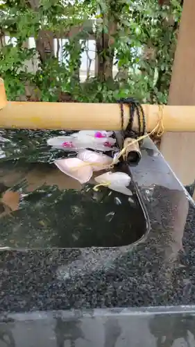 芝大神宮(東京都)