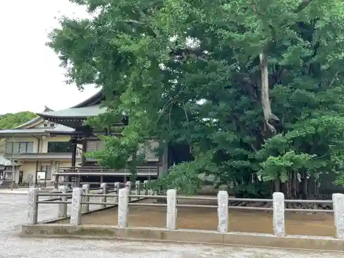 葛飾八幡宮のその他建物