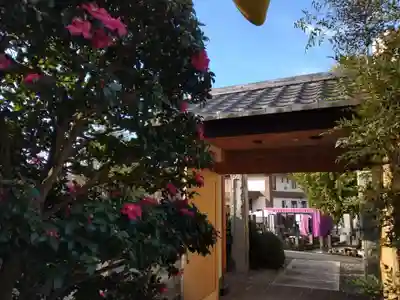 圓定寺の山門・神門