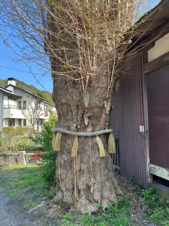 蛭子神社(神奈川県)