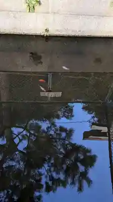 乳清水神社の動物