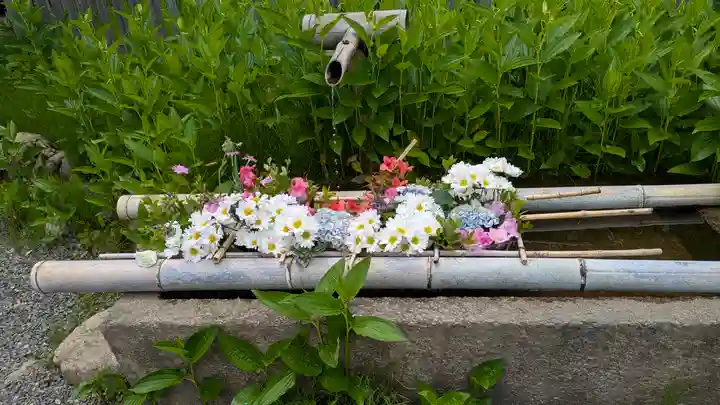 二尊院(京都府)