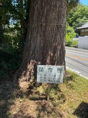 熊野神社(千葉県)