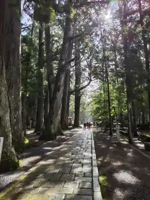 高野山金剛峯寺奥の院(和歌山県)