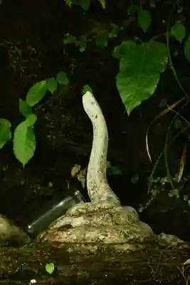 多聞寺 奥之院 灌頂院(徳島県)