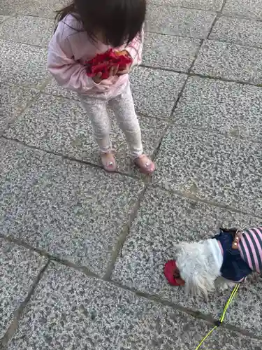 大年神社(兵庫県)