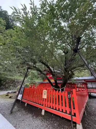 金櫻神社(山梨県)