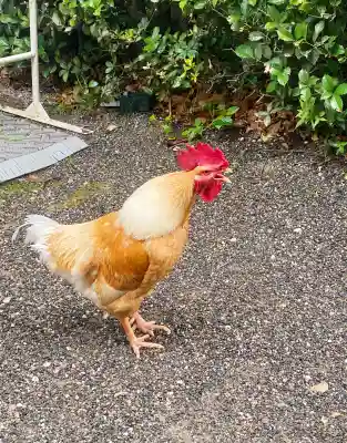 熱田神宮(愛知県)