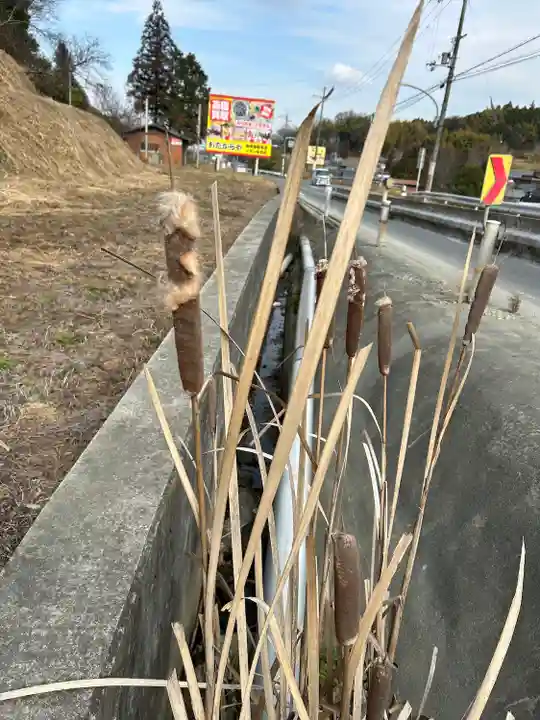 南法華寺(壷阪寺)(奈良県)