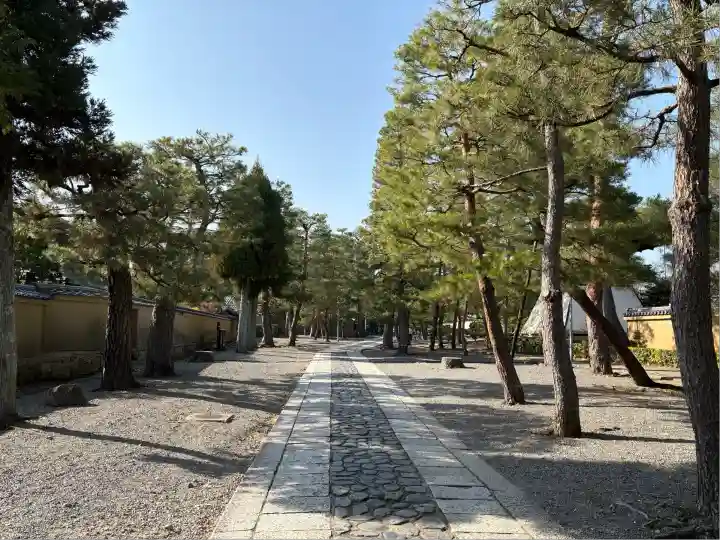 大徳寺(京都府)