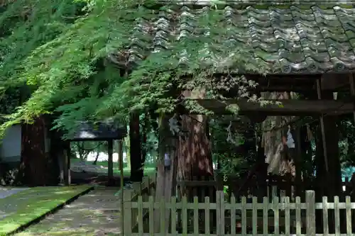 洲原神社(岐阜県)