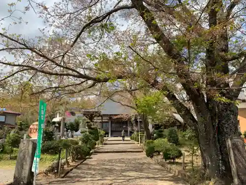 正蓮寺の本殿・本堂