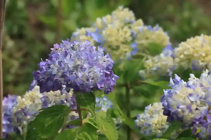 熊野福藏神社の庭園