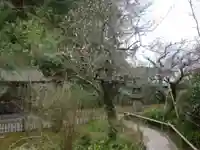 安國論寺(安国論寺)の庭園