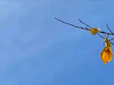 眞田神社(長野県)