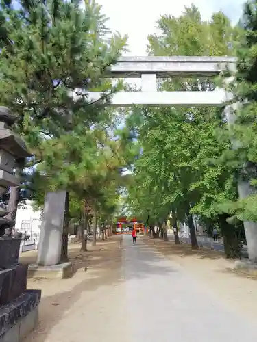 葛飾八幡宮の鳥居