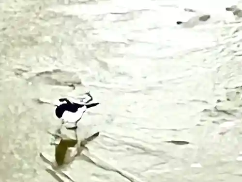眞田神社(長野県)
