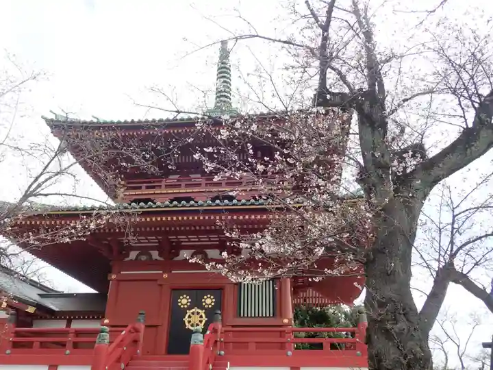 孝道山の御朱印