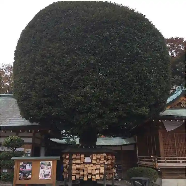 足利織姫神社(栃木県)