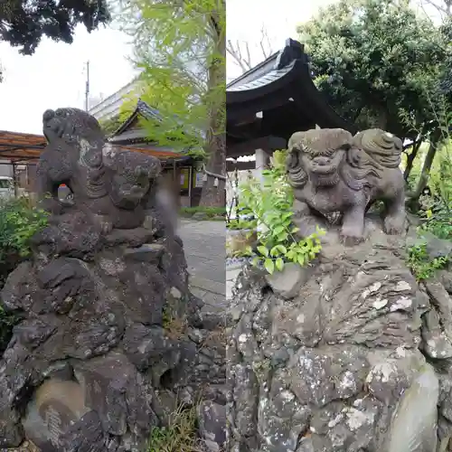 菊田神社の狛犬