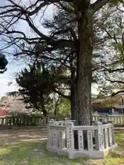 新野辺住吉神社の建物その他