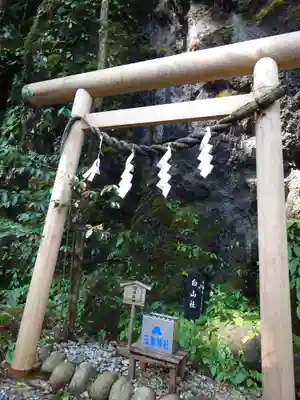 玉置神社(奈良県)