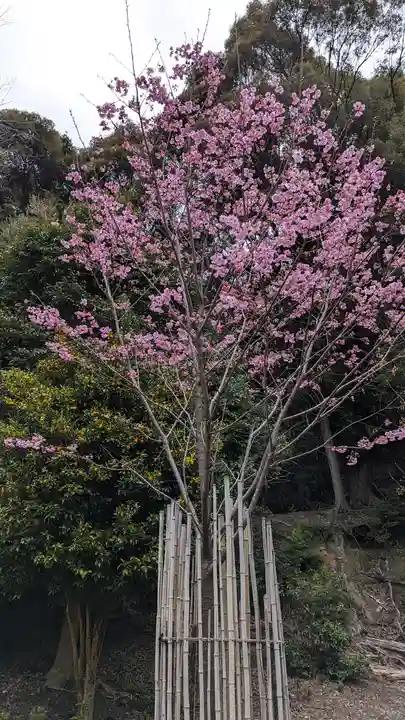 熊野若王子神社の自然