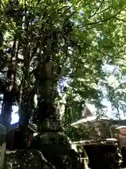 高畑年祢神社の自然