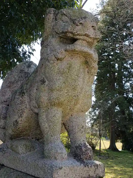 小杉神社の狛犬