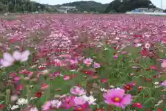 中宮寺(奈良県)