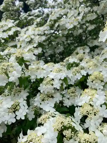 唐招提寺の自然