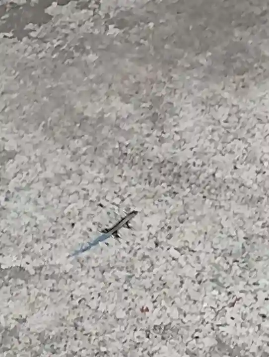 高龍神社(新潟県)