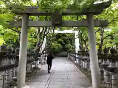 鹿嶋神社の鳥居