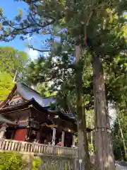 三峯神社(埼玉県)