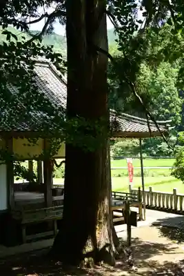 烏帽子杜三島神社(愛媛県)