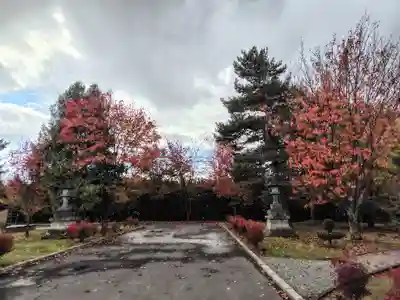 美瑛神社の庭園