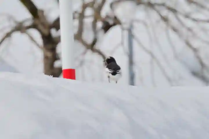 竹之高地不動社(新潟県)