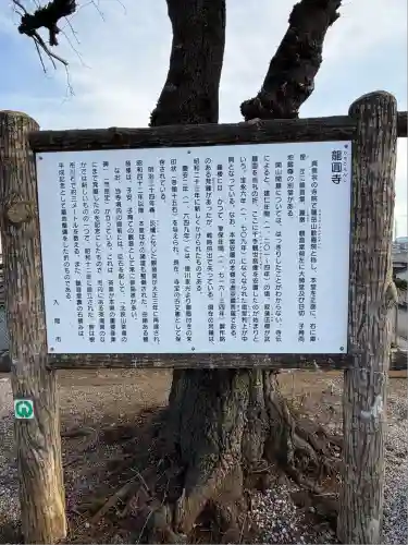 龍圓寺(埼玉県)