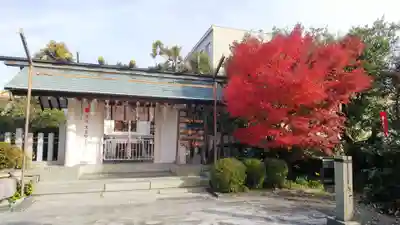 徳王稲荷社・金刀比羅社の本殿・本堂