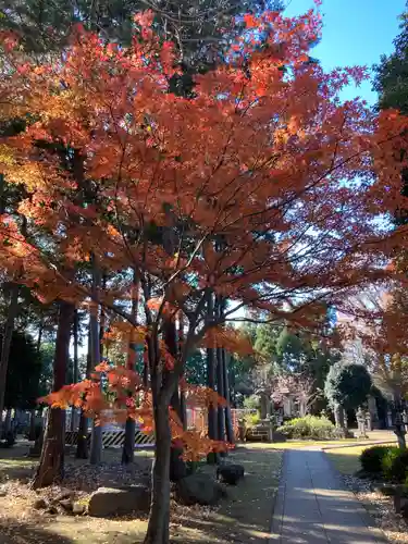 豪徳寺(東京都)