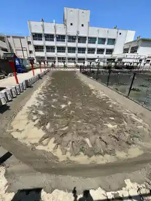 杭全神社(大阪府)