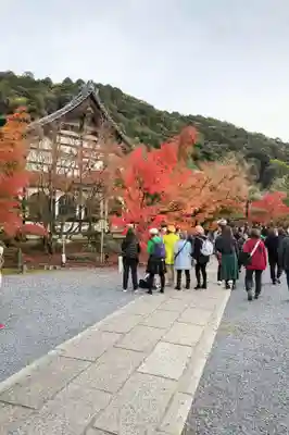 禅林寺(永観堂)(京都府)