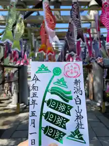 白山神社の御朱印 2023年05月01日(月)〜(2023年04月22日(土) 15時45分22秒投稿)