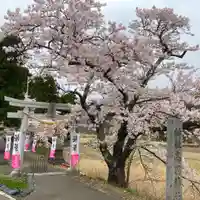 高司神社〜むすびの神の鎮まる社〜の自然