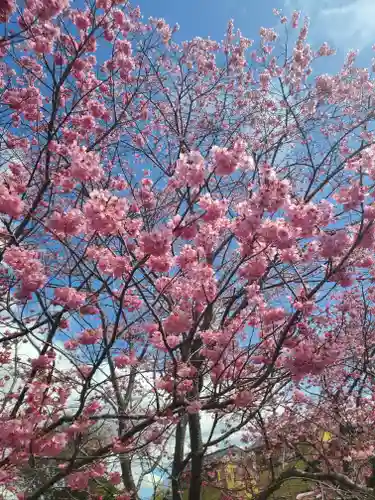 笠間稲荷神社の自然