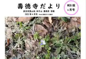 壽徳寺 じゅとくじの自然(2022年04月08日(金) 18時17分40秒投稿)