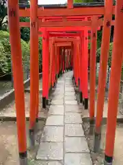 根津神社の鳥居