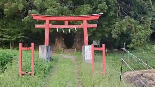 八雲神社の鳥居