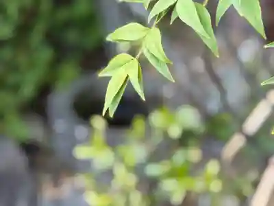 西方山極楽寺(岐阜県)